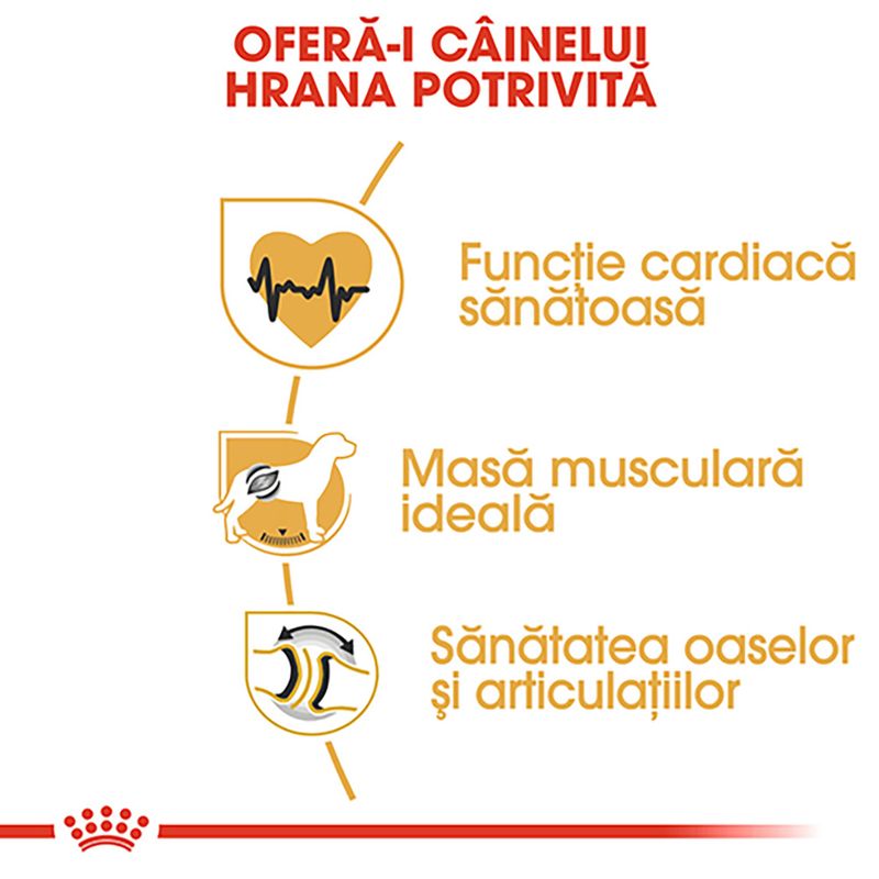 Royal Canin Rottweiller Adult, hrană uscată câini, 12kg