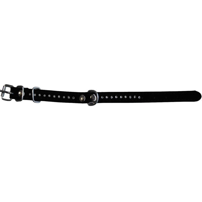 Zgarda velur pentru caini Milan strasuri 1 rand 25cm