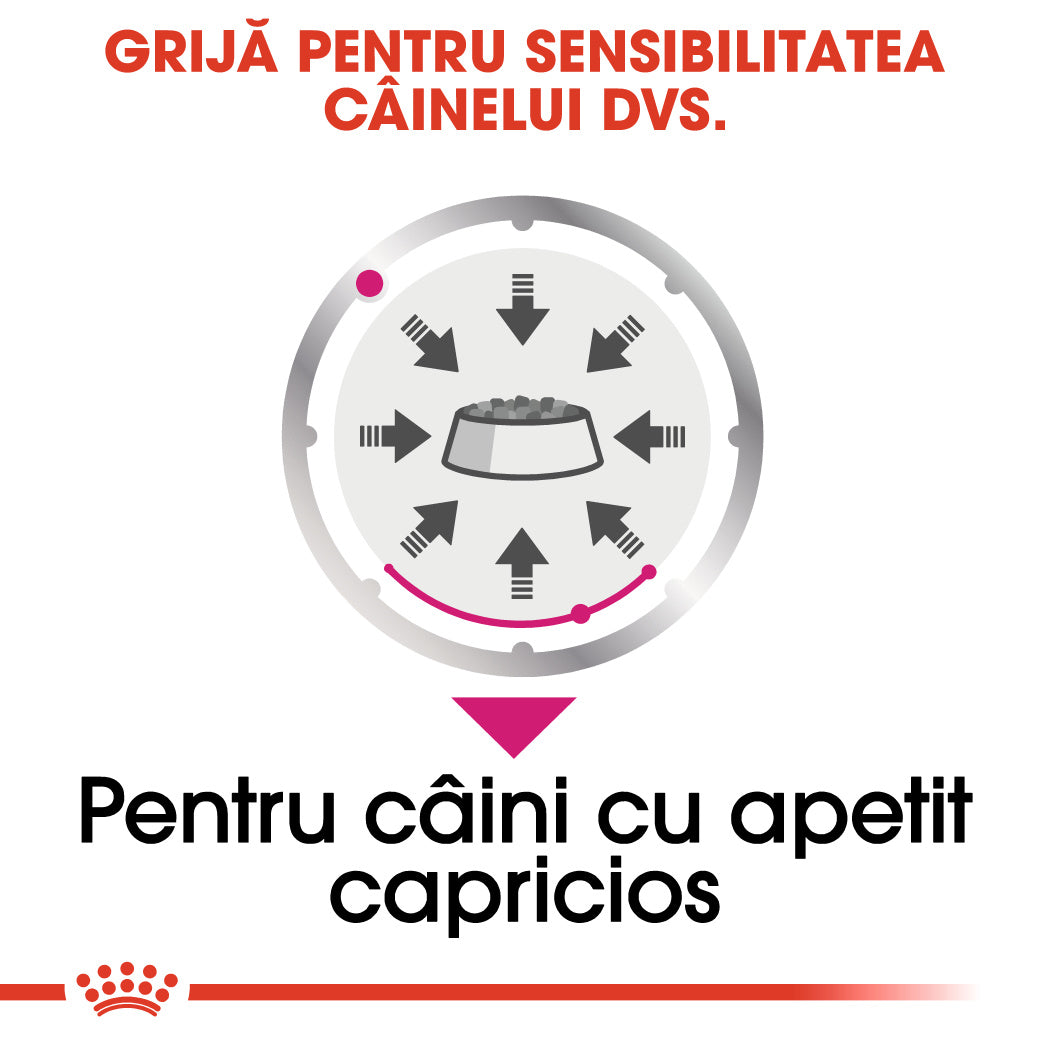 Royal Canin Exigent Adult hrana umeda caine, apetit capricios (pate)