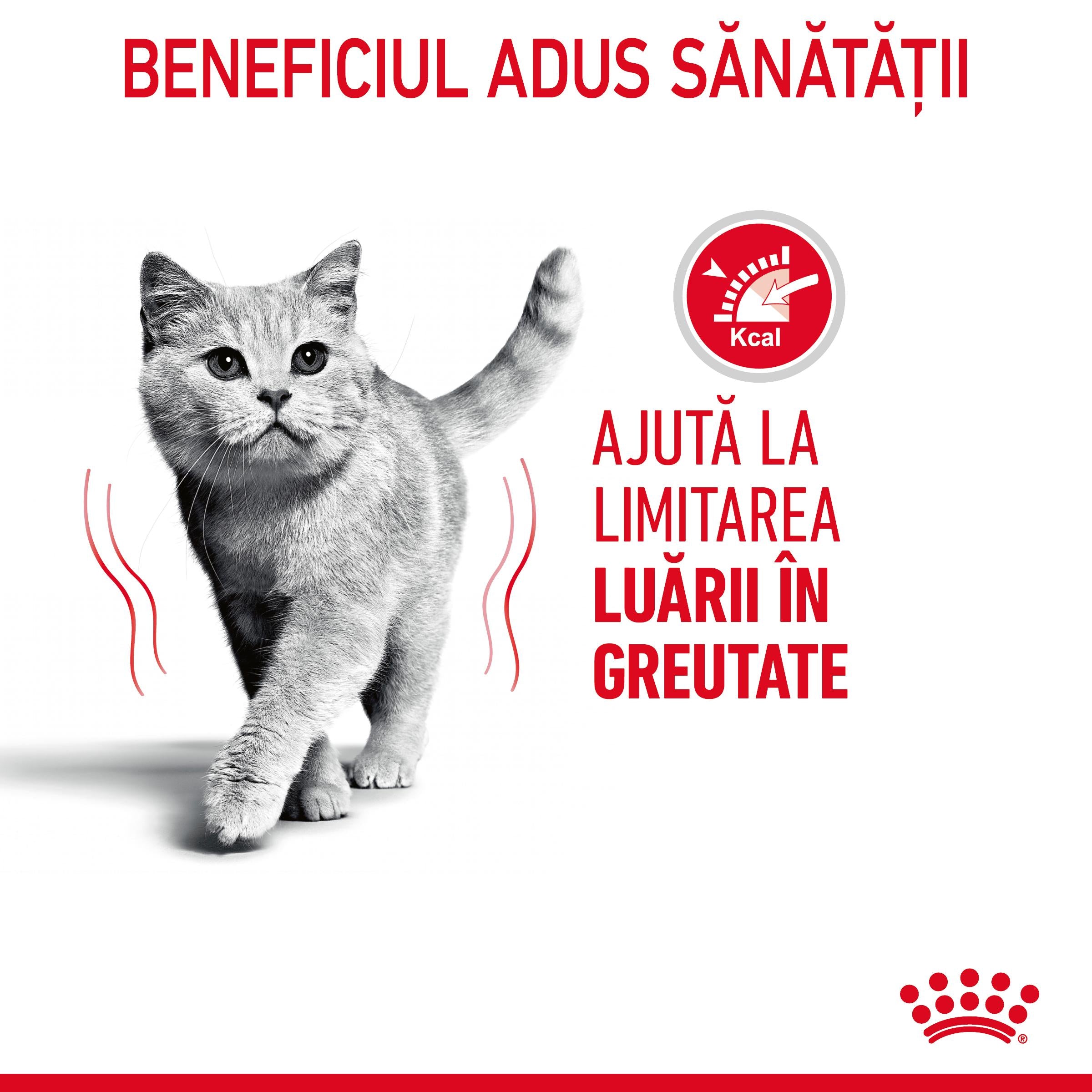 Royal Canin Light Weight Care Adult hrana uscata pisica, limitarea cresterii in greutate