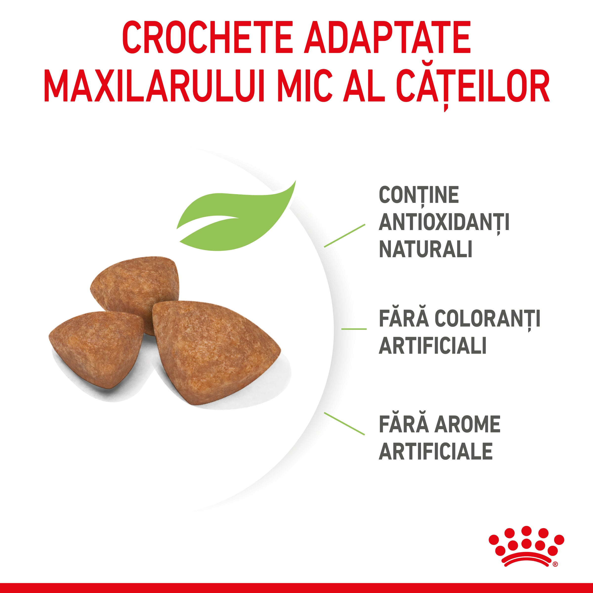 Royal Canin X-Small Puppy hrana uscata caine junior