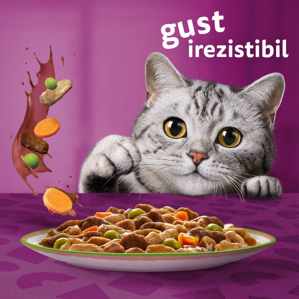 Whiskas Tasty Mix Chef's choice hrana umeda pentru pisici adulte 12x85g