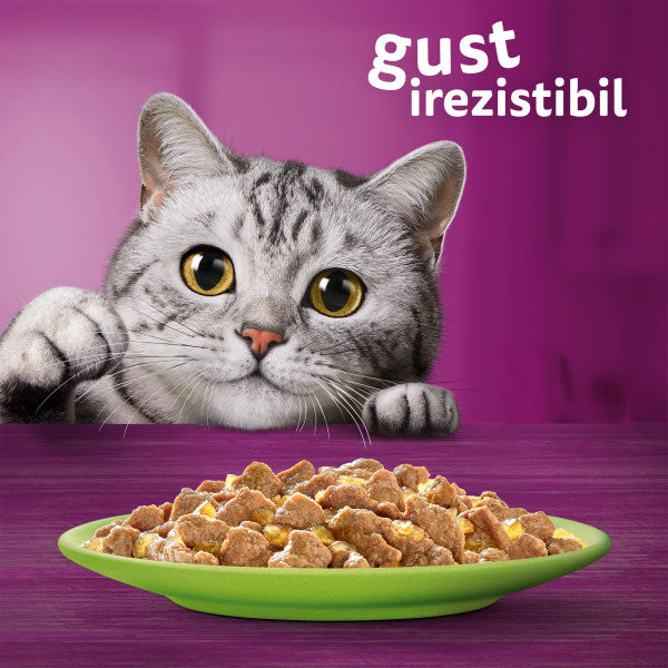Whiskas hrana umeda pentru pisici adulte, selectii de carne in aspic 12 x 85 g