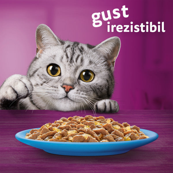 Whiskas hrana umeda pentru pisici adulte, selectii de peste in aspic 12 x 85 g