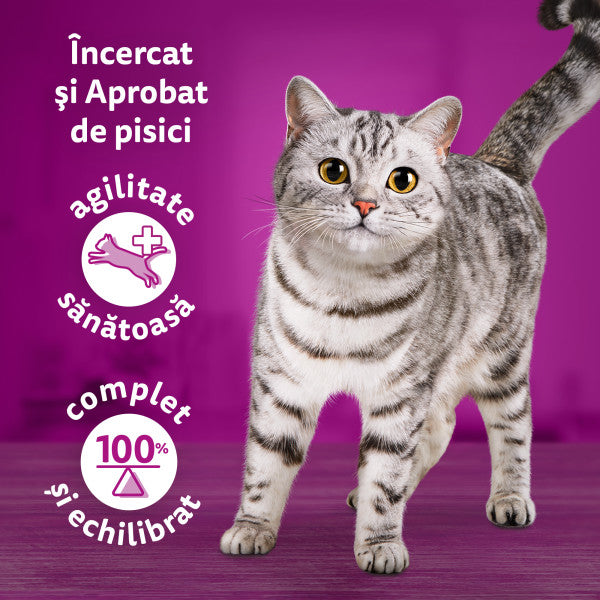 Whiskas Tasty Mix Chef's choice hrana umeda pentru pisici adulte 12x85g