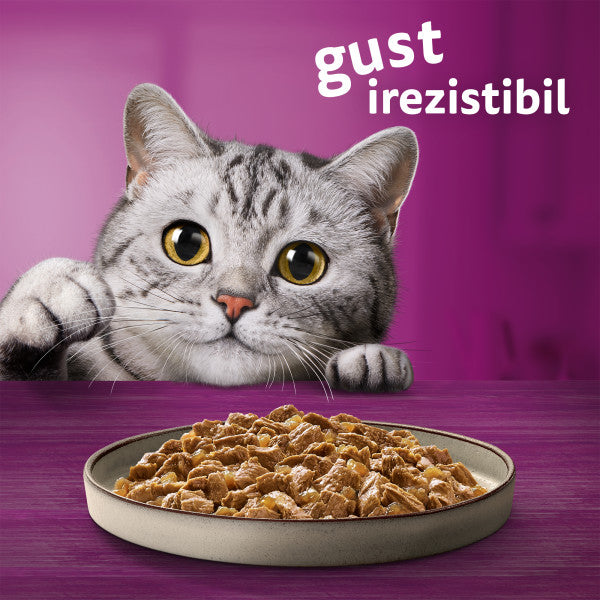 Whiskas Pure Delight hrana umeda pentru pisici adulte, selectii de carne in aspic 12 x 85 g