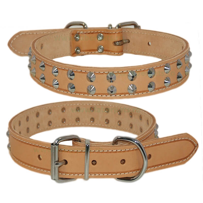 Zgarda din piele HEAVY bej cu conuri