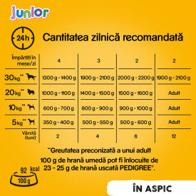 Pedigree Junior hrana umeda la conserva pentru caini juniori cu pui in aspic