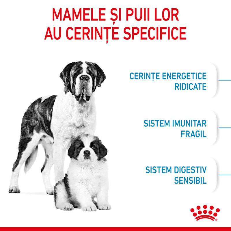 Royal Canin Giant Starter Mother & Babydog, mama și puiul, hrană uscată câini, 15kg