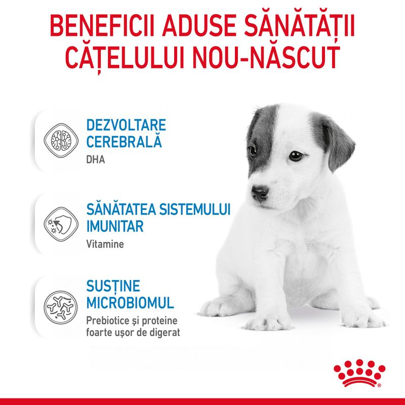 Lapte praf pentru caini Royal Canin, Babydog Milk, 400g