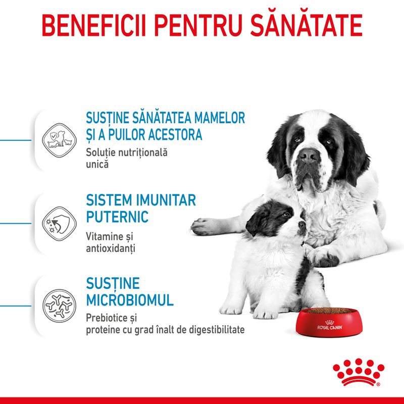 Royal Canin Giant Starter Mother & Babydog, mama și puiul, hrană uscată câini, 15kg