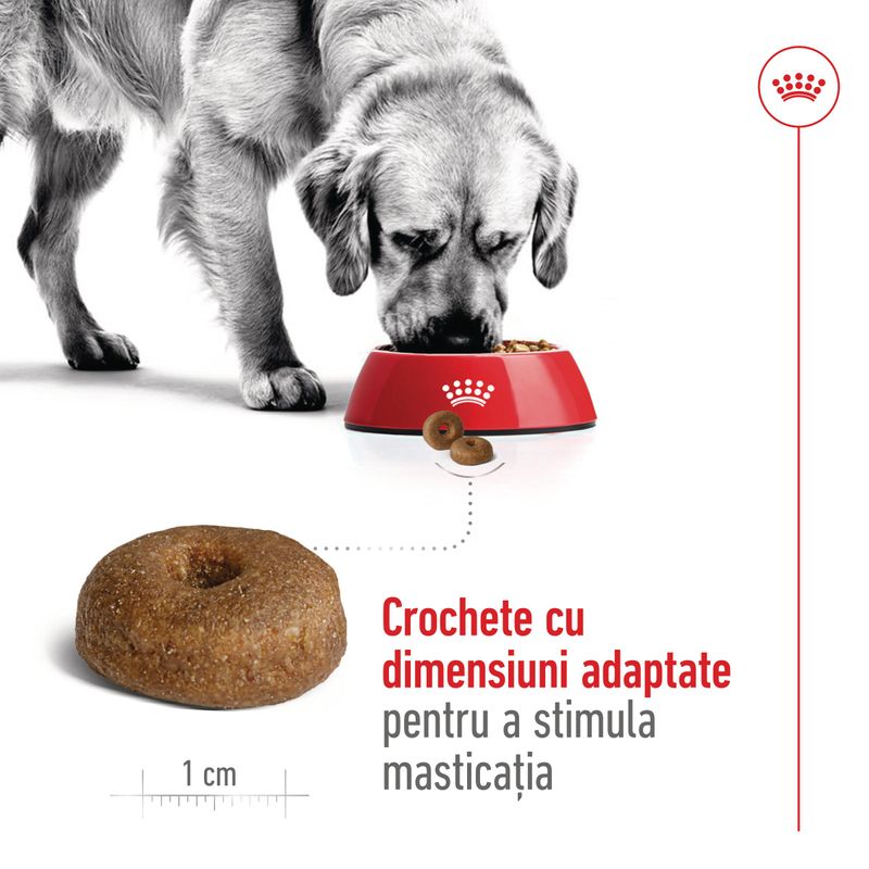 ROYAL CANIN Maxi Ageing 8+, hrană uscată câini, 15kg