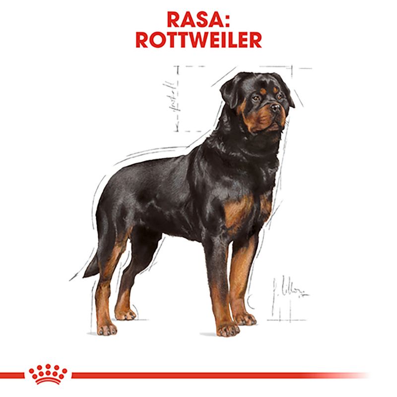 Royal Canin Rottweiller Adult, hrană uscată câini, 12kg