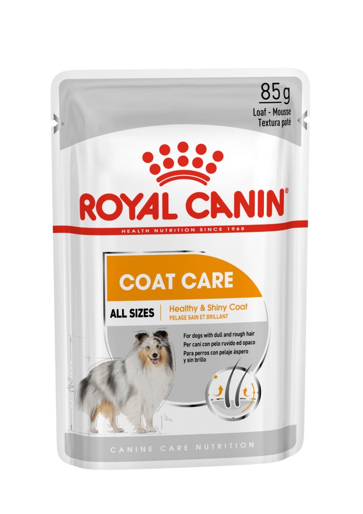 Royal Canin Coat Care Adult hrana umeda caine, blana sanatoasa si lucioasa (pate)
