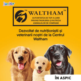 Pedigree Junior hrana umeda la conserva pentru caini juniori cu pui in aspic