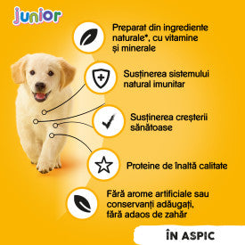 Pedigree Junior hrana umeda la conserva pentru caini juniori cu pui in aspic