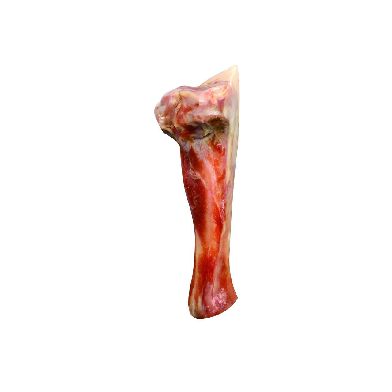 Recompense pentru caini Flamingo os femur natural cu carne 190-300g