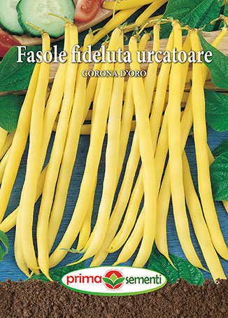 Seminte fasole urcatoare Corona D’ Oro 70g