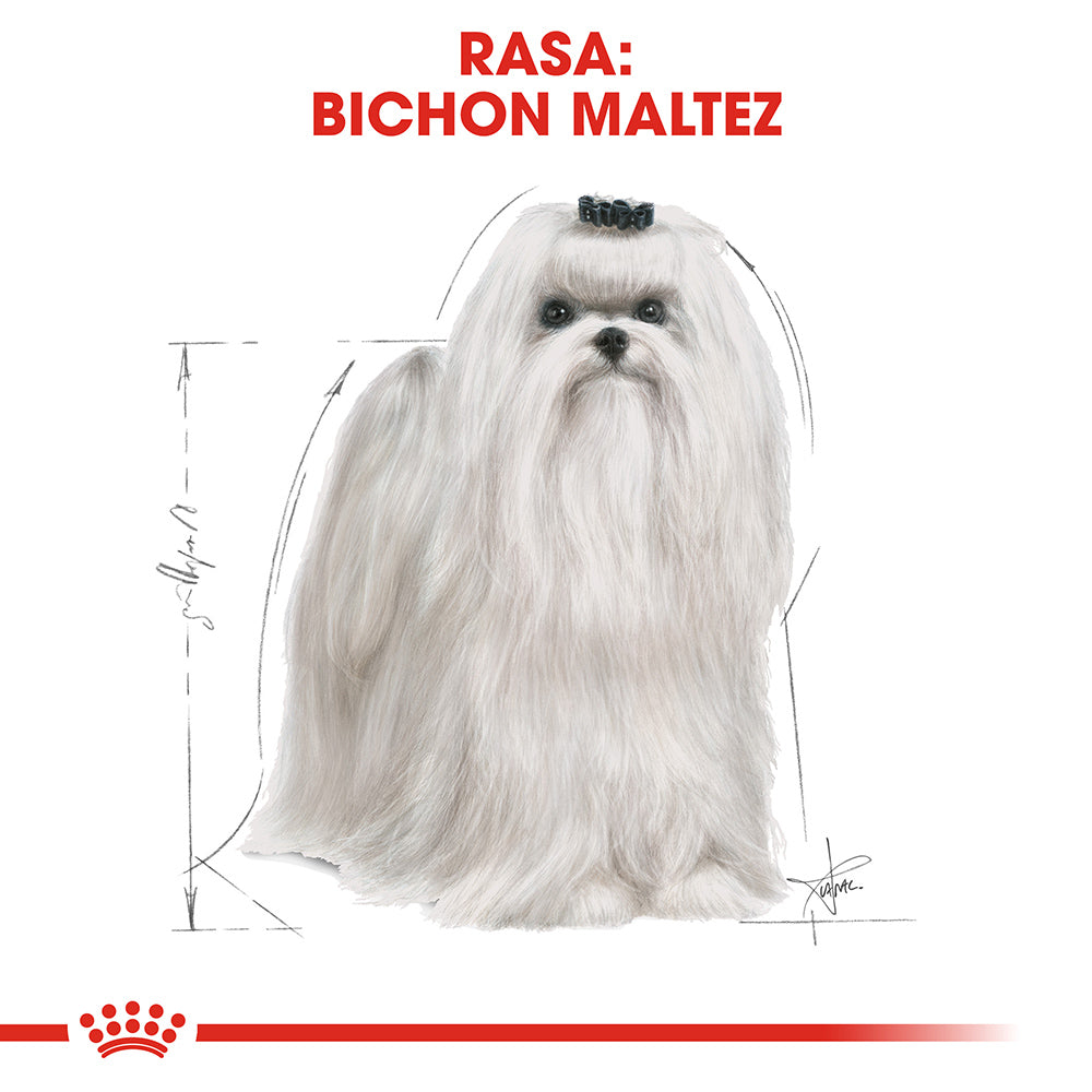 Royal Canin Maltese Adult hrana uscata caine 1.5kg