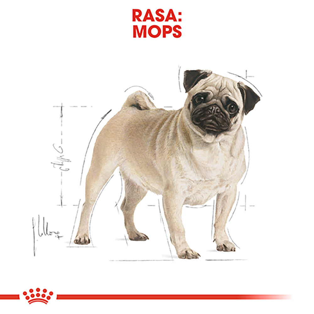 Royal Canin Pug Adult hrana uscata caine 1.5kg