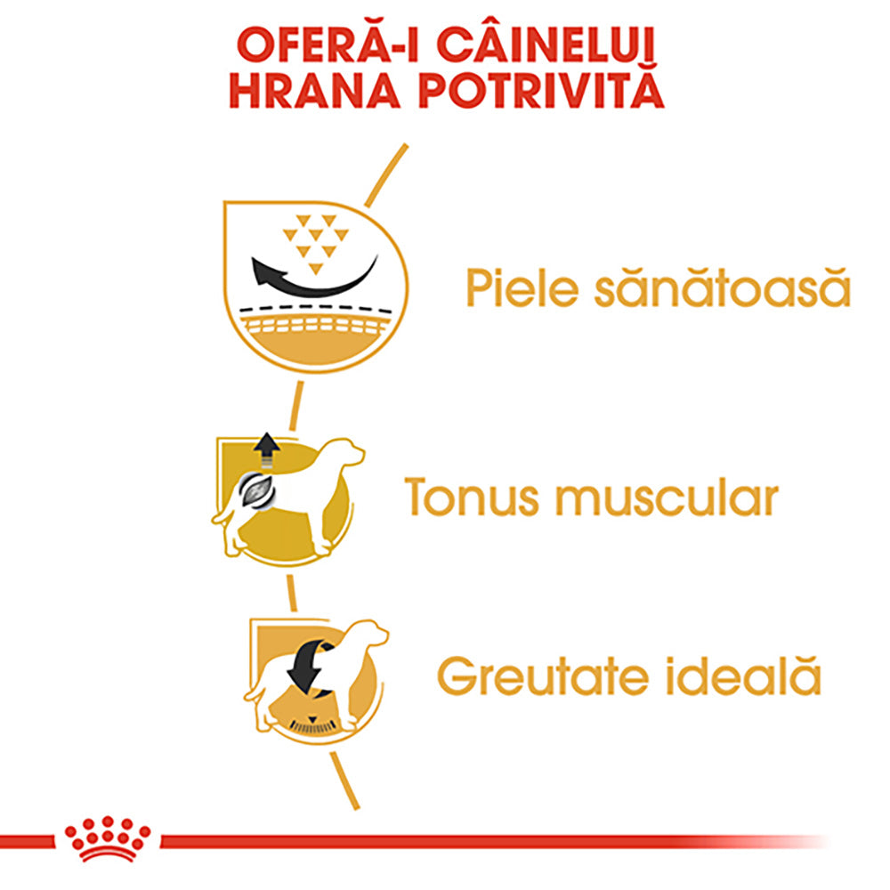 Royal Canin Pug Adult hrana uscata caine 1.5kg