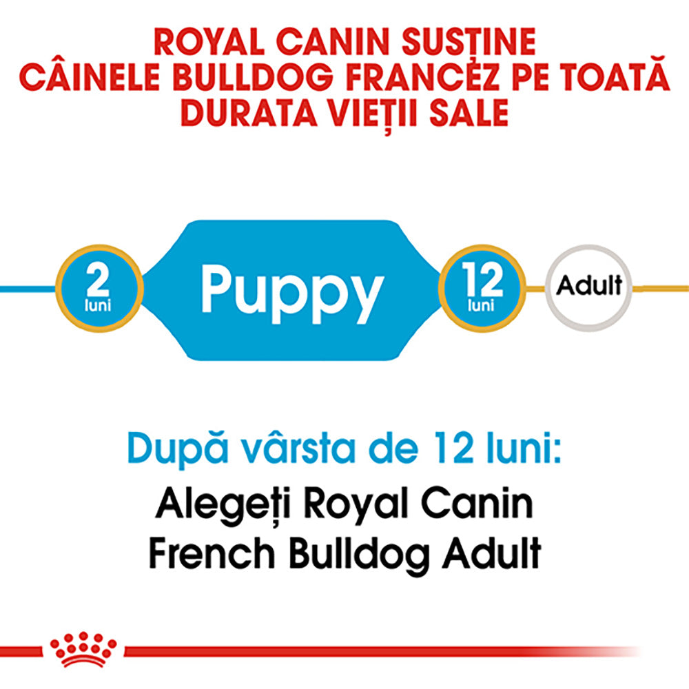 Royal Canin French Bulldog Puppy hrana uscata caine junior 3kg