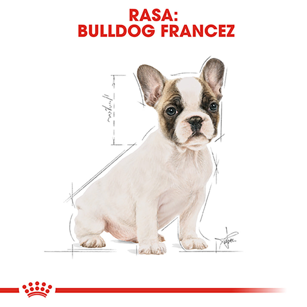 Royal Canin French Bulldog Puppy hrana uscata caine junior 3kg