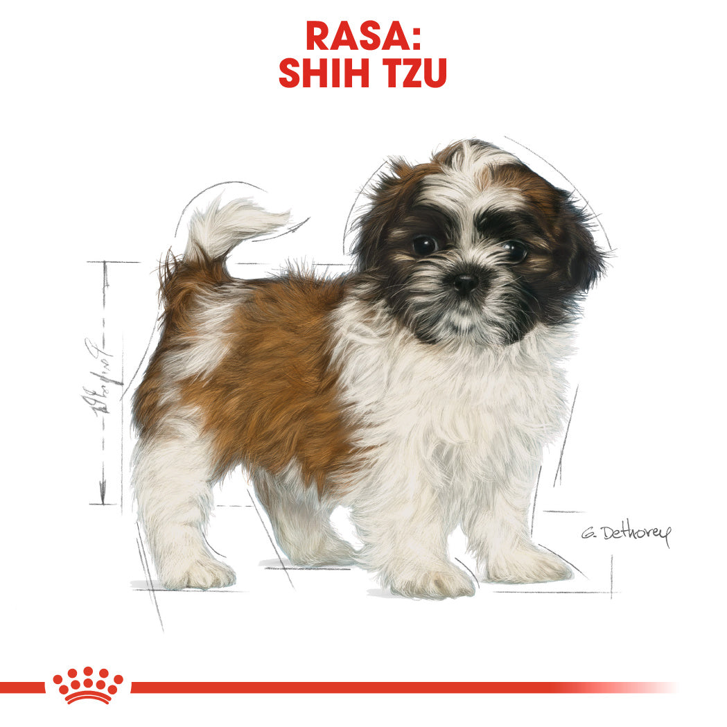 Royal Canin Shih Tzu Puppy hrana uscata caine junior 1.5kg