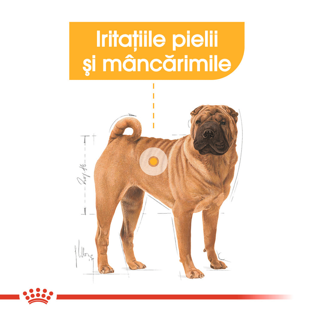 Royal Canin Medium Dermacomfort hrana uscata caine, prevenirea iritatiilor pielii 12kg