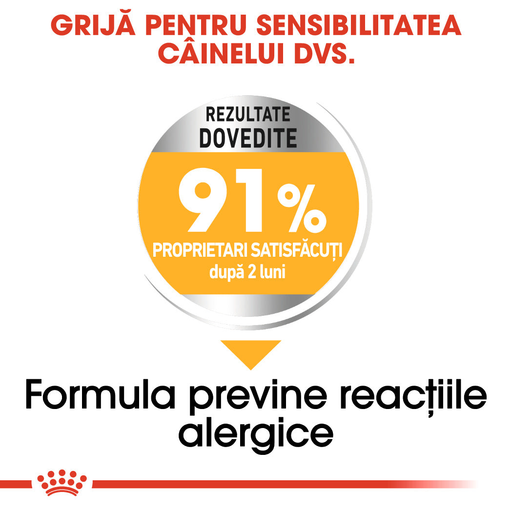 Royal Canin Mini Dermacomfort hrana uscata caine, prevenirea iritatiilor pielii