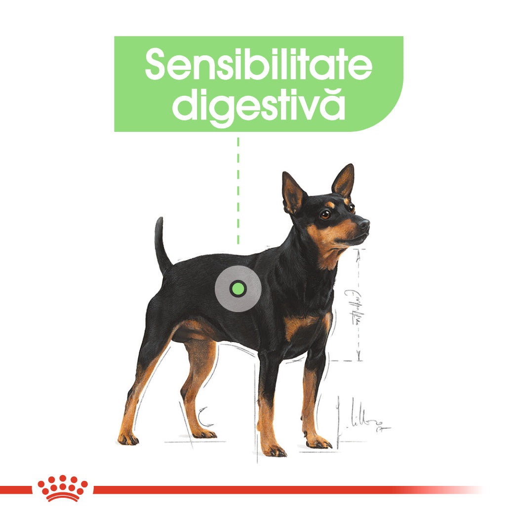 Royal Canin Mini Digestive Care hrana uscata caine, confort digestiv