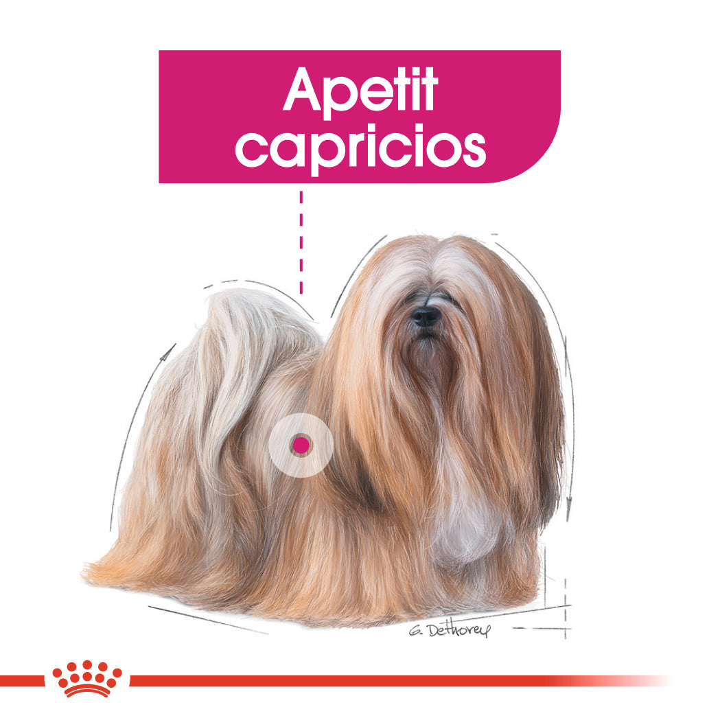 Royal Canin Mini Exigent hrana uscata caine, apetit capricios