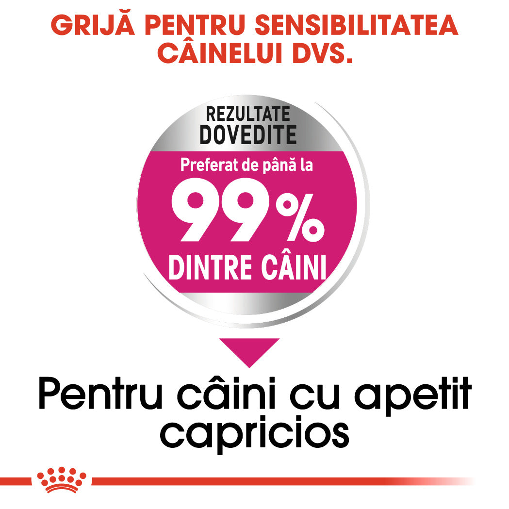 Royal Canin Mini Exigent hrana uscata caine, apetit capricios