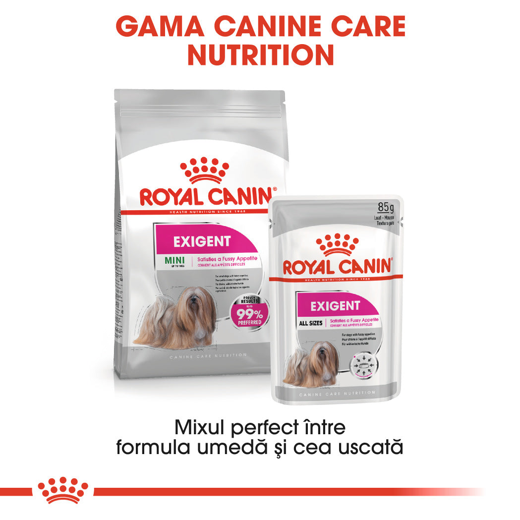 Royal Canin Mini Exigent hrana uscata caine, apetit capricios