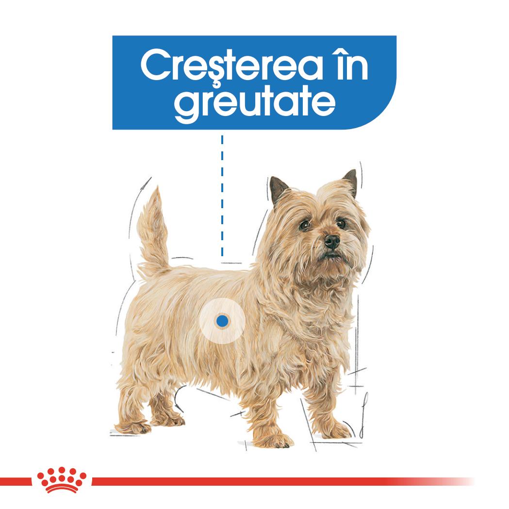 Royal Canin Light Weight Care Adult hrana umeda caine, limitarea cresterii in greutate (pate)