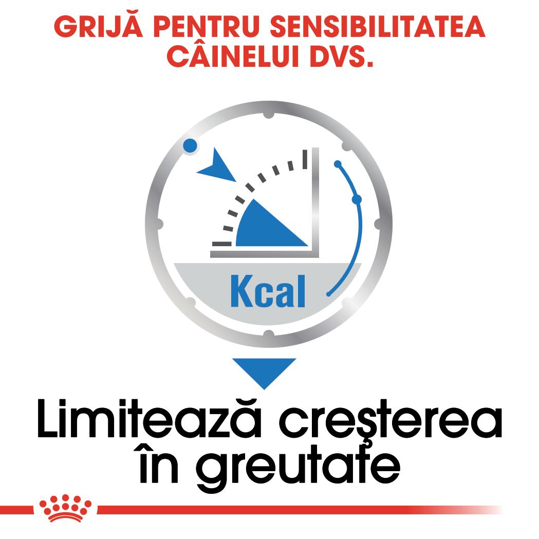 Royal Canin Light Weight Care Adult hrana umeda caine, limitarea cresterii in greutate (pate)