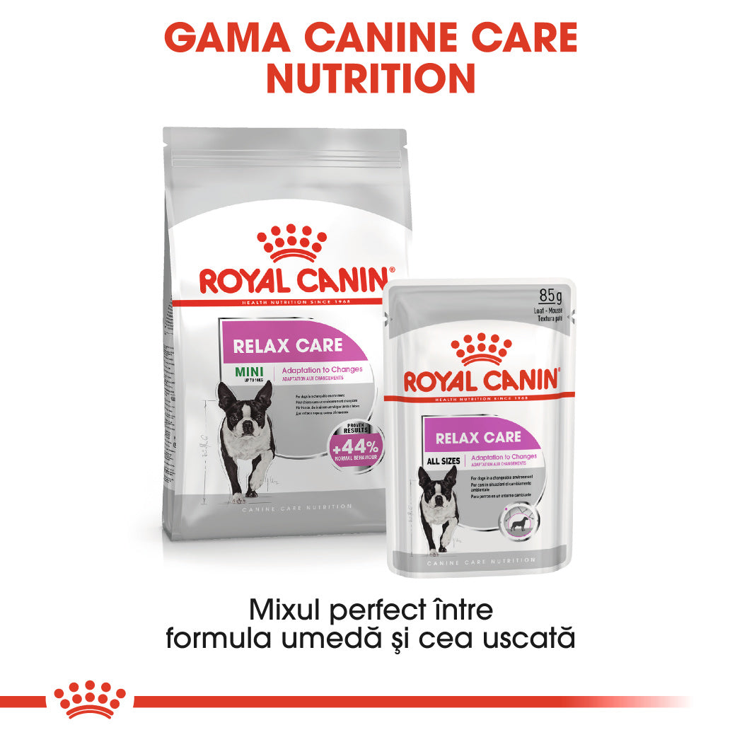 Royal Canin Mini Relax Care hrana uscata caini, pentru adaptarea la medii in schimbare 1kg