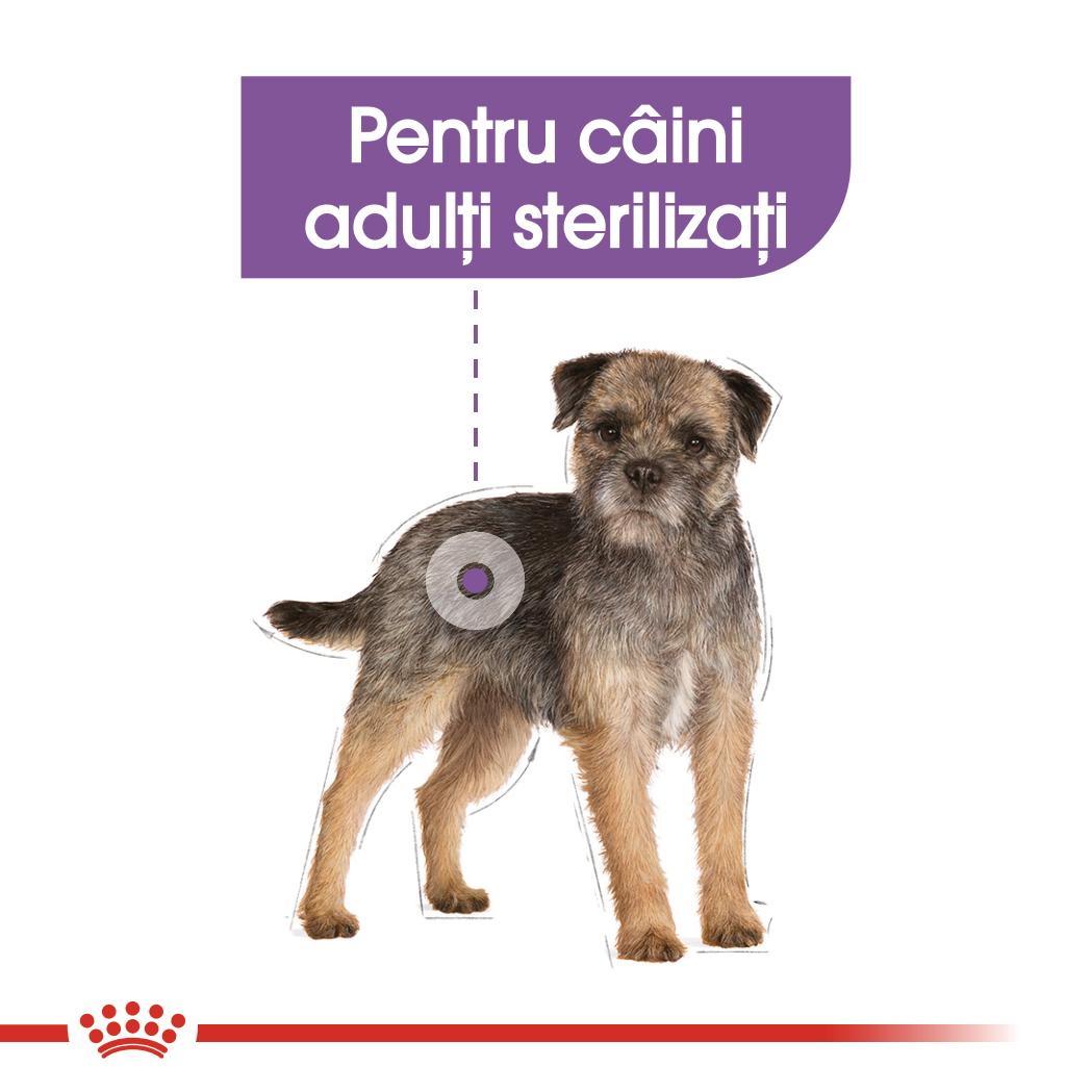 Royal Canin Sterilised Adult hrana umeda caine sterilizat (pate)