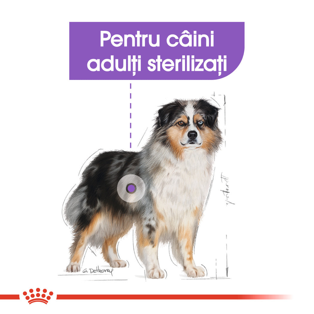 Royal Canin Medium Sterilised Adult hrana uscata caine sterilizat