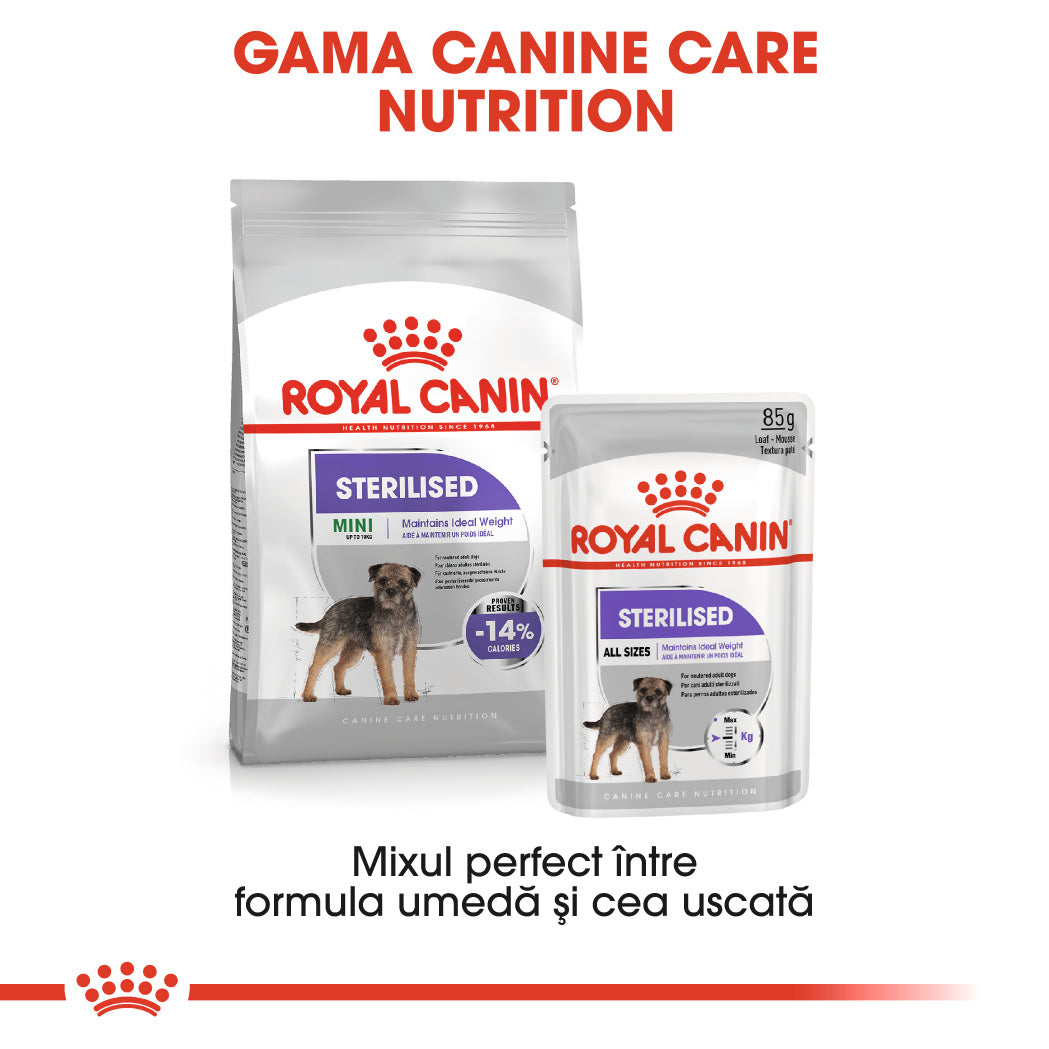 Royal Canin Mini Sterilised Adult hrana uscata caine sterilizat