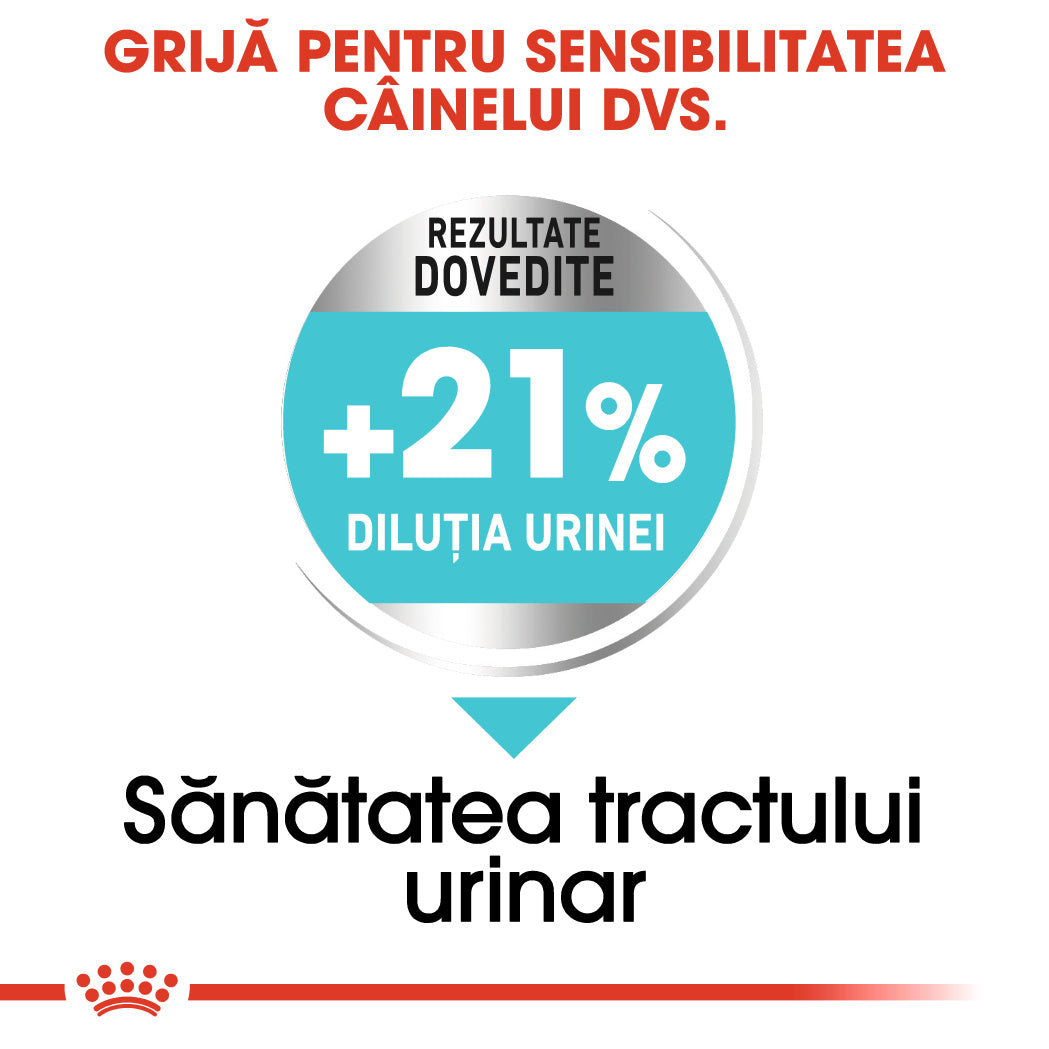 Royal Canin Mini Urinary Care hrana uscata caine, sanatatea tractului urinar