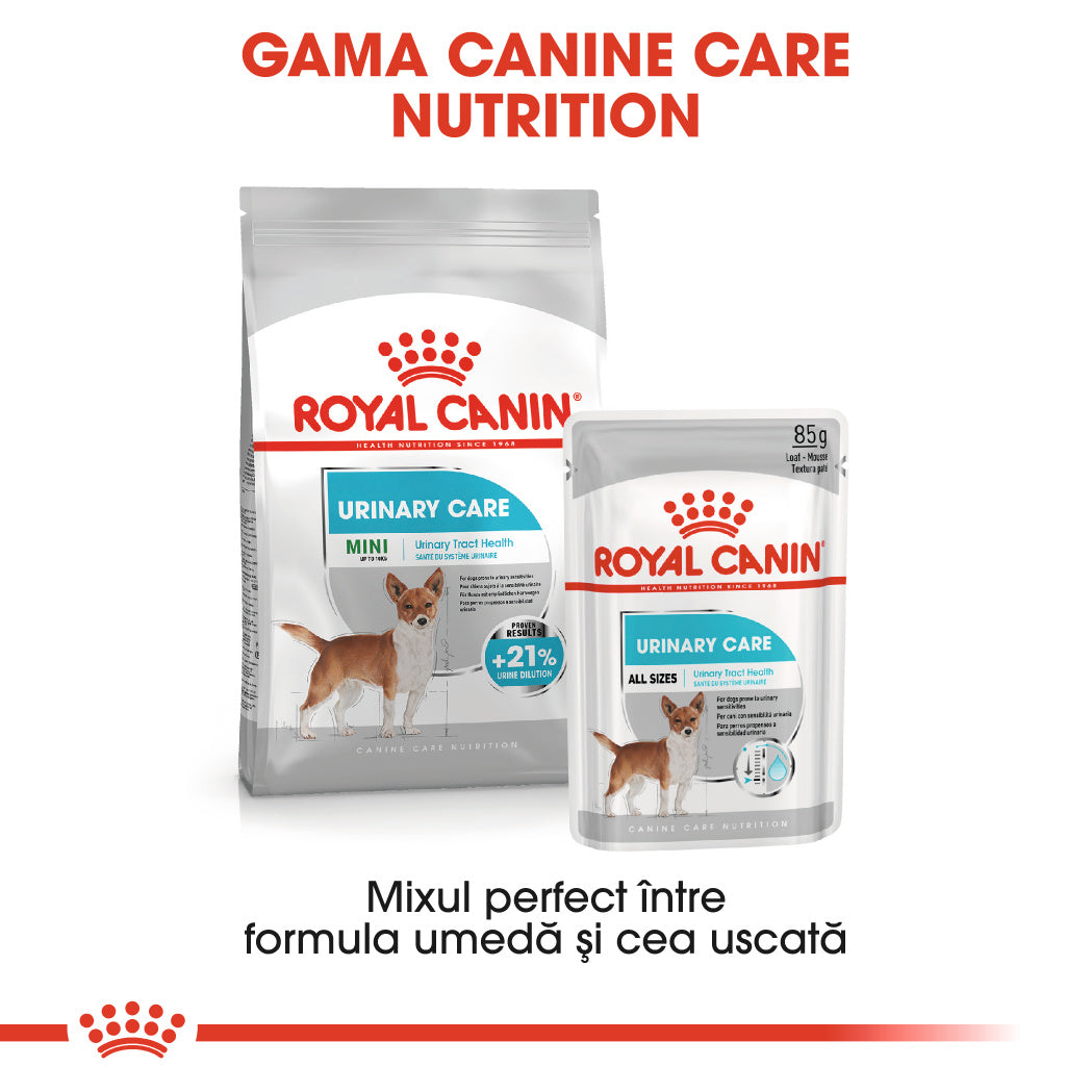 Royal Canin Mini Urinary Care hrana uscata caine, sanatatea tractului urinar