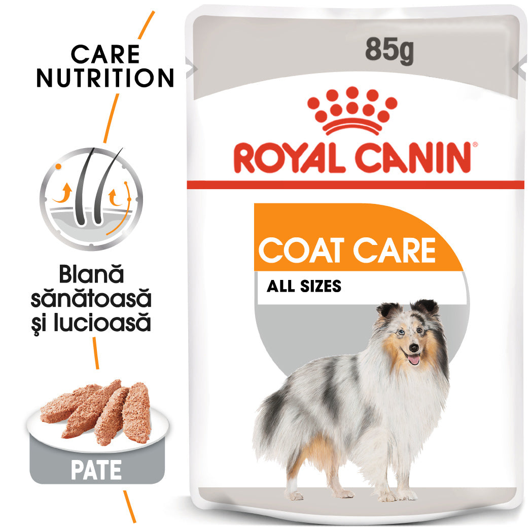 Royal Canin Coat Care Adult hrana umeda caine, blana sanatoasa si lucioasa (pate)