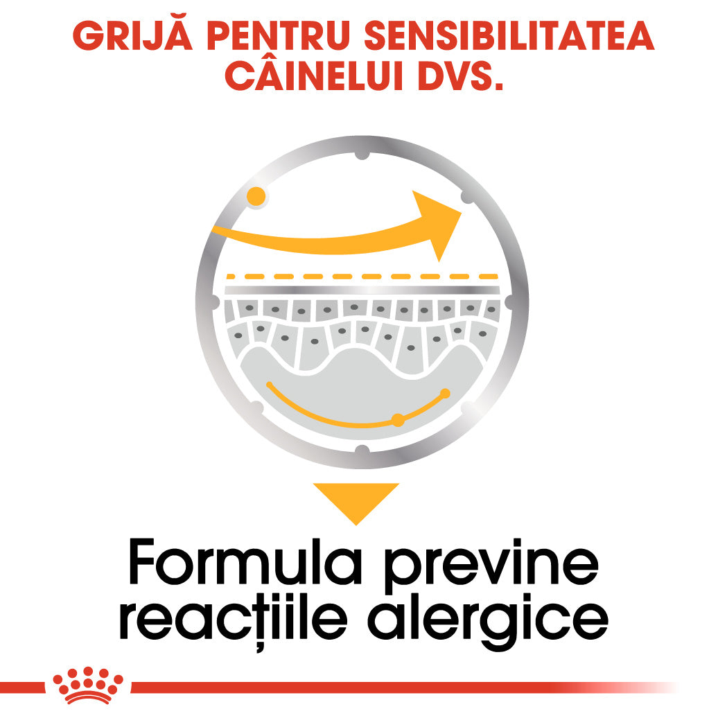 Royal Canin Dermacomfort Adult hrana umeda caine, prevenirea iritatiilor pielii (pate)