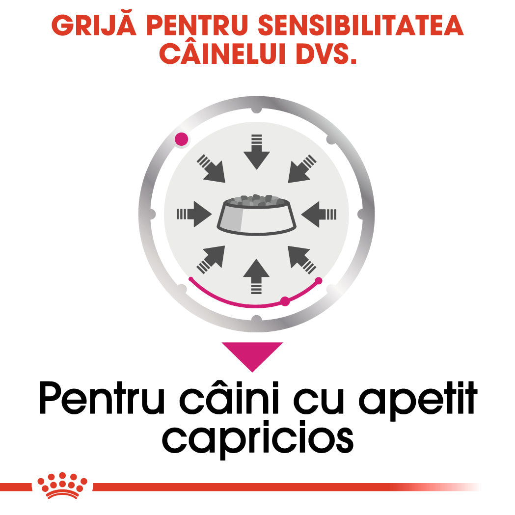 Royal Canin Exigent Adult hrana umeda caine, apetit capricios (pate)