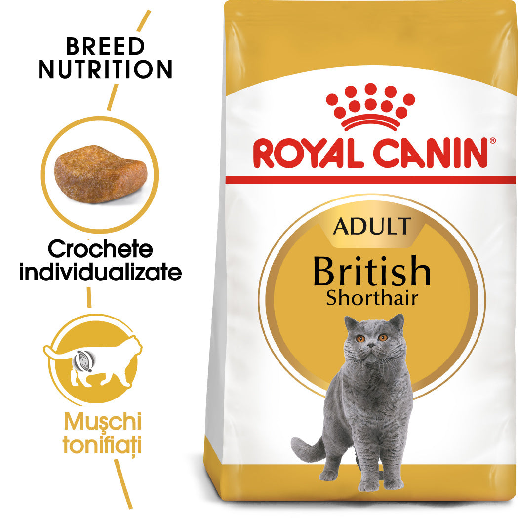 Royal Canin British Shorthair Adult hrana uscata pisica