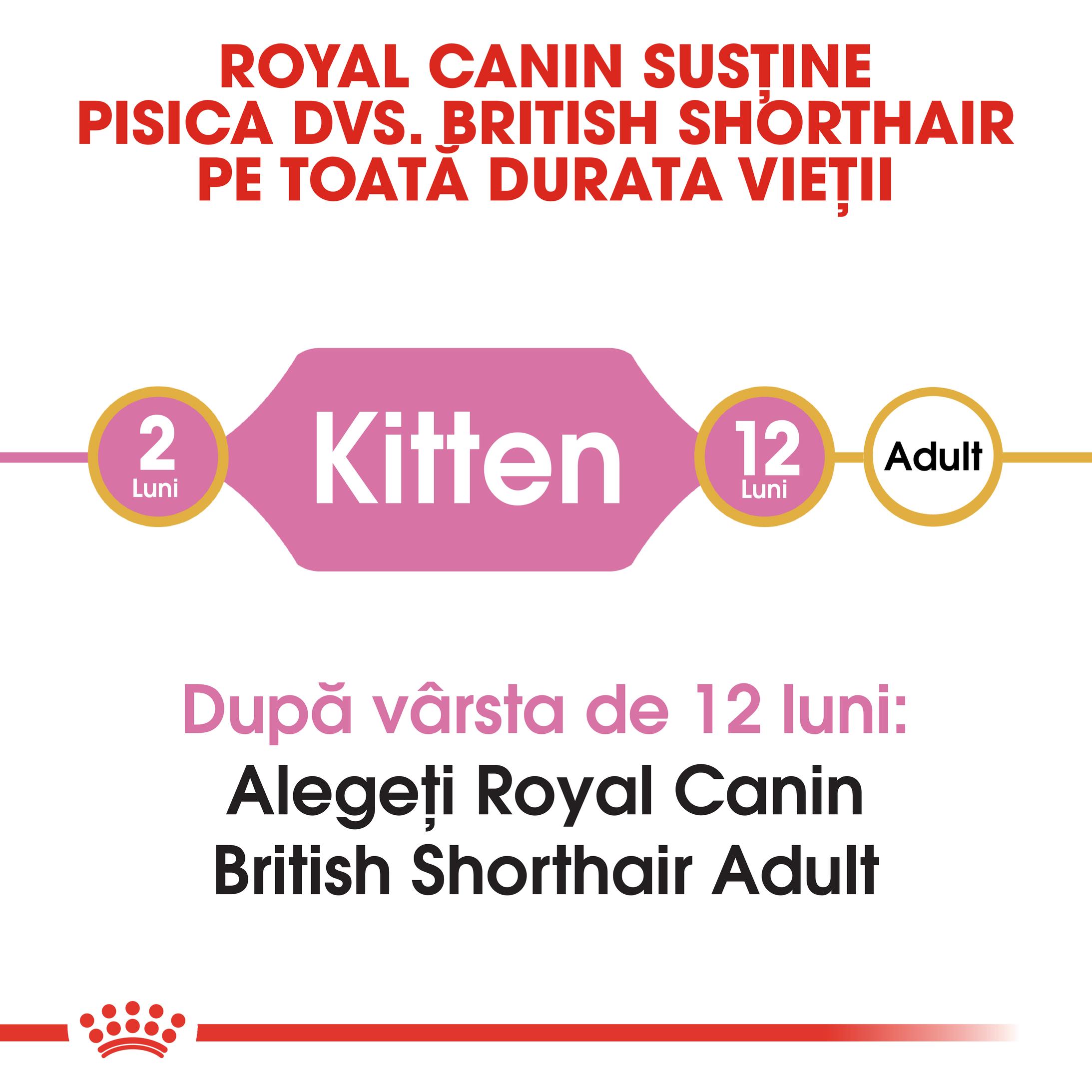 Royal Canin British Shorthair Kitten hrana uscata pisica junior