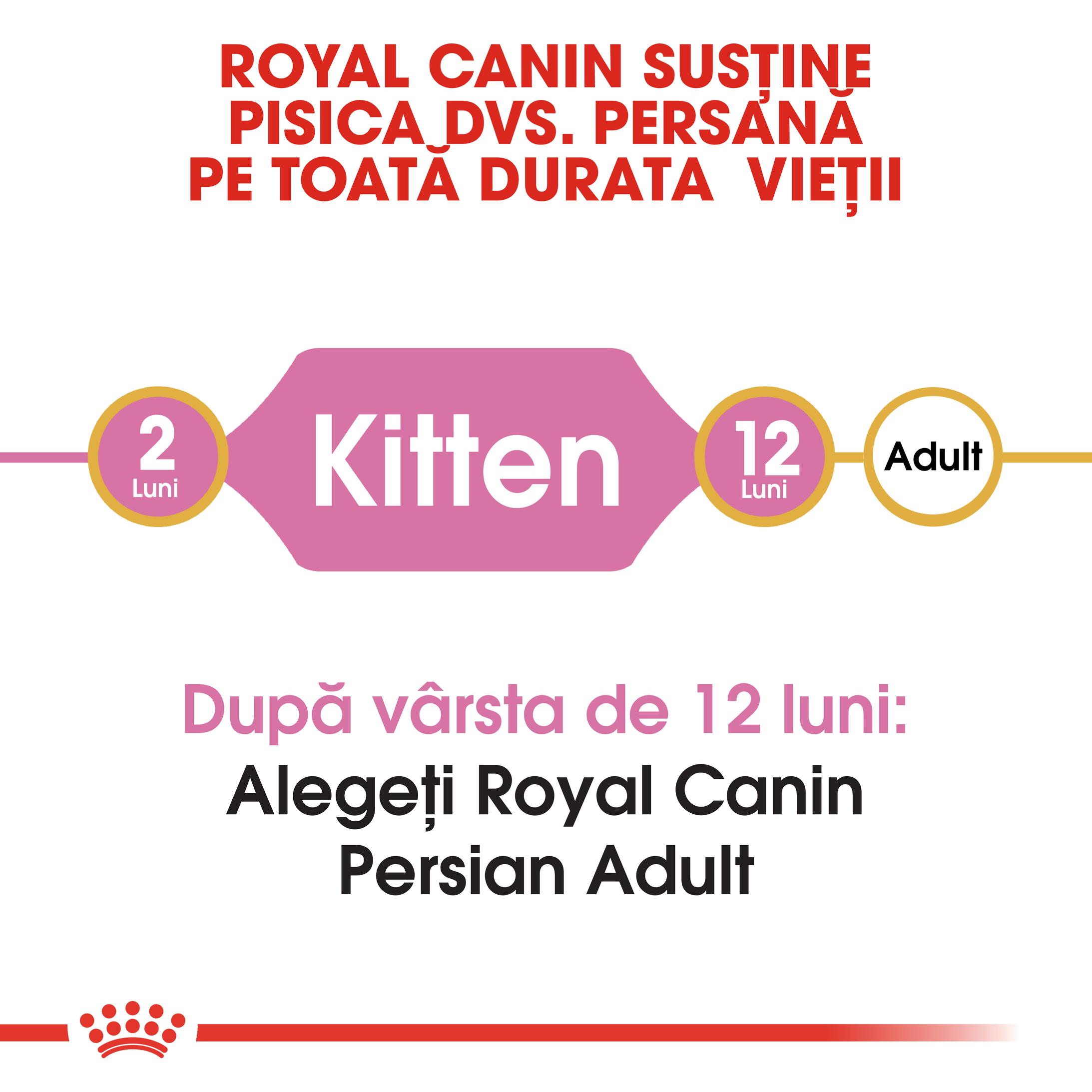 Royal Canin Persian Kitten hrana uscata pisica junior 2kg