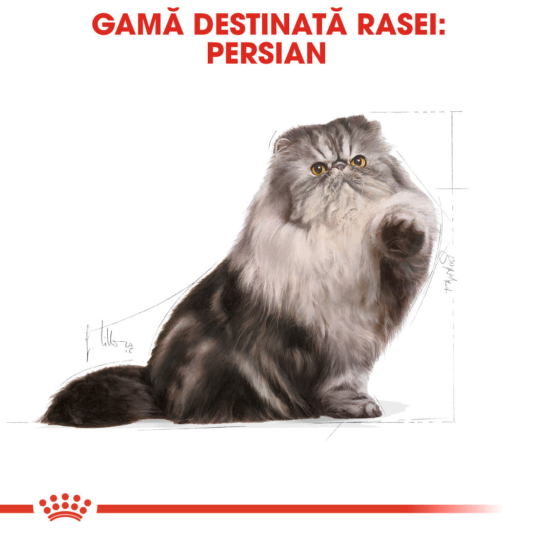 Royal Canin Persian Adult hrana uscata pisica 2kg