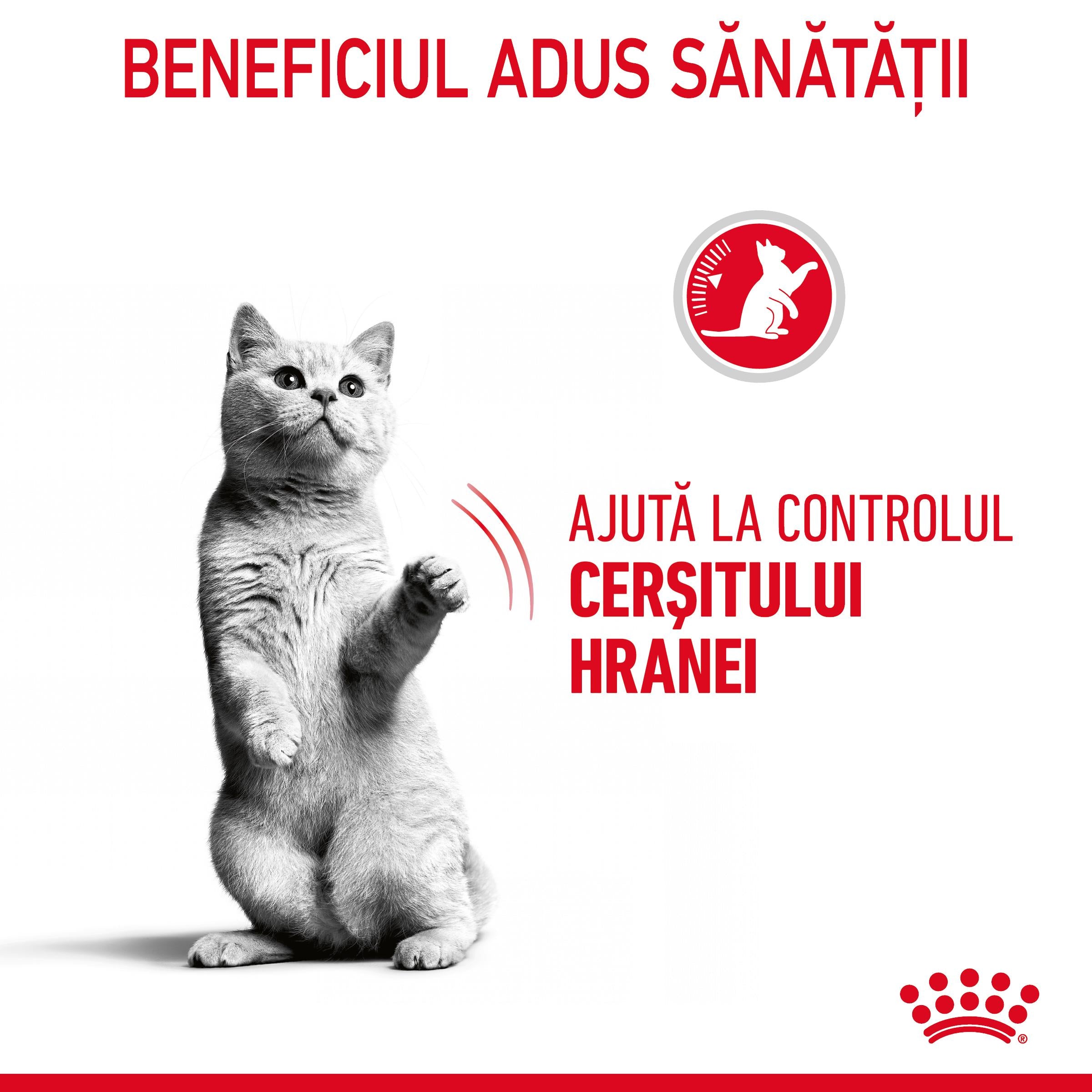 Royal Canin Appetite Control Care Adult hrana uscata pisica sterilizata, reglarea apetitului